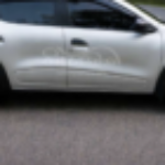 Profile photo of Killer bee