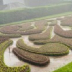 Profile picture of Hasith