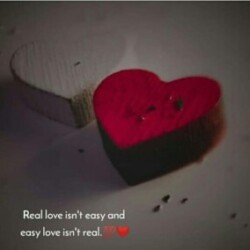 Profile photo of Krish