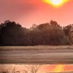 Profile picture of Rush