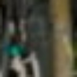 Profile picture of Timothy