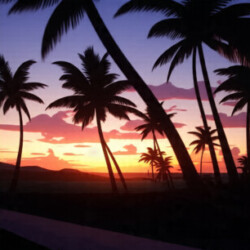 Profile photo of Pradeep