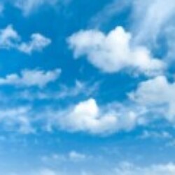 Profile photo of Alex321