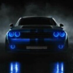 Profile picture of Ss