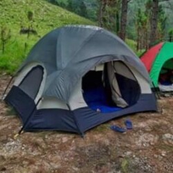 Profile photo of ishani