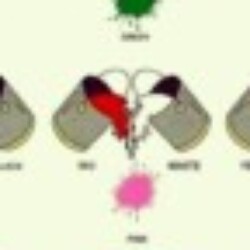 Profile picture of Isha