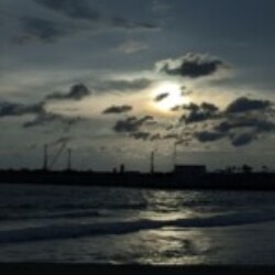 Profile photo of boneless