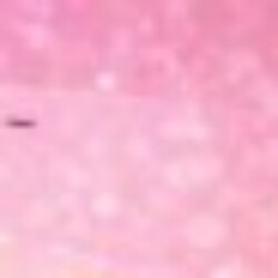 Profile picture of Eshan-c