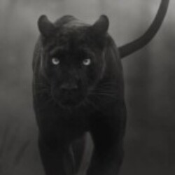 Profile photo of Henry Hash