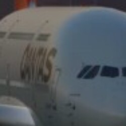 Profile picture of Nisala