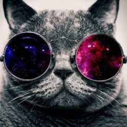 Profile photo of Razoo