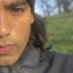 Profile picture of Romesh Fernando