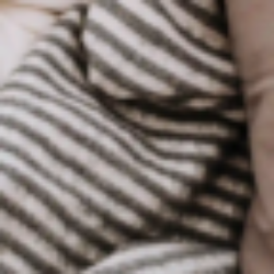 Profile picture of Handsome