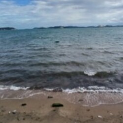 Profile photo of Alanxy