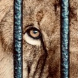 Profile photo of AKRAM