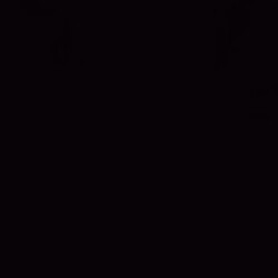 Profile photo of Priya