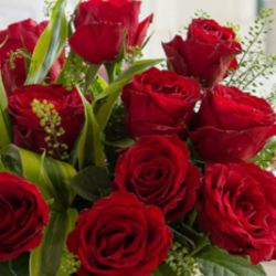 Profile photo of Viraj