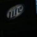 Profile photo of Avid