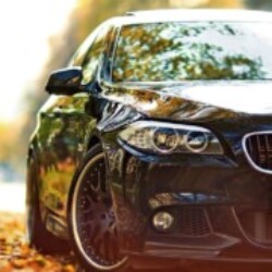 Profile picture of Danaadhii