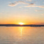 Profile photo of Pahan