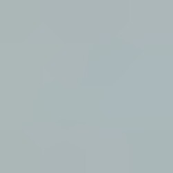 Profile picture of Ravidu Rashintha