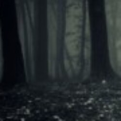 Profile picture of Madhuka