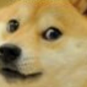 Profile photo of Nirmal