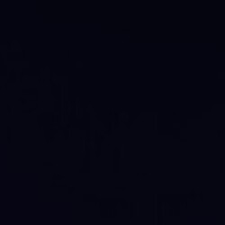 Profile picture of Hiran