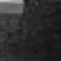 Profile photo of Hasal