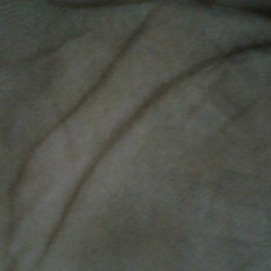 Profile picture of mkm remo