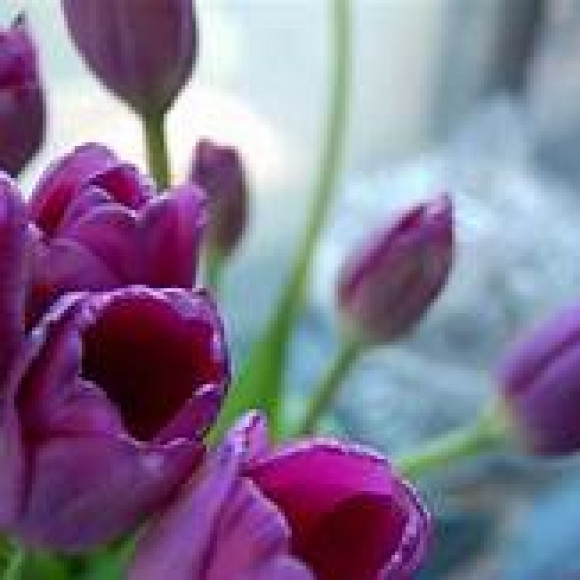 Profile picture of Nayani hettiarachchi