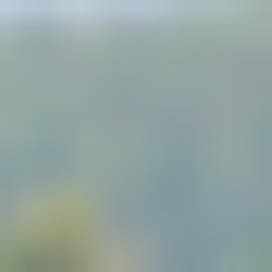 Profile picture of Harsha