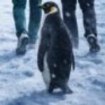 Profile photo of Ethan Jay