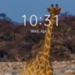 Profile picture of David cook