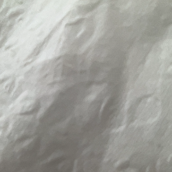 Profile picture of Praneeth