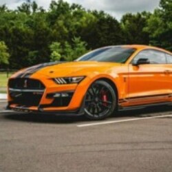 Profile picture of Perem