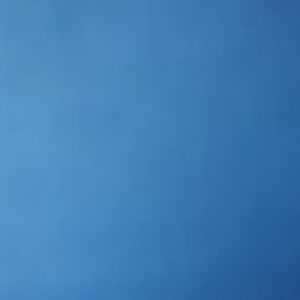 Profile photo of Priyanga