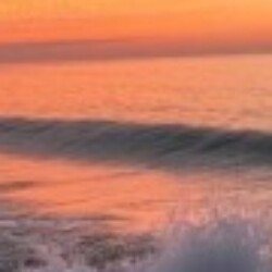 Profile picture of Sayuri