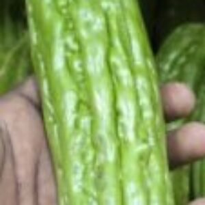 Profile photo of Shone