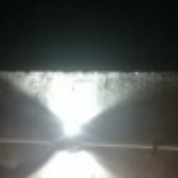 Profile picture of Ashen