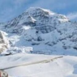 Profile picture of Vishal