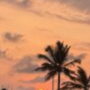 Profile photo of Dasun perera