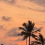 Profile photo of Dasun perera