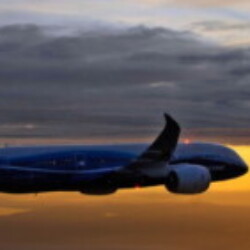 Profile picture of hasi