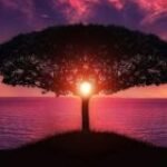 Profile photo of Kevin