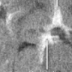 Profile photo of SRatna Jag