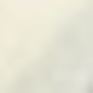 Profile photo of Nimesh