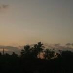 Profile photo of Sandali