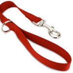 Profile photo of shansub