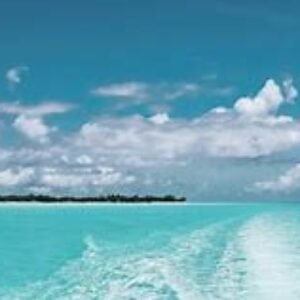 Profile photo of Nuwan39M